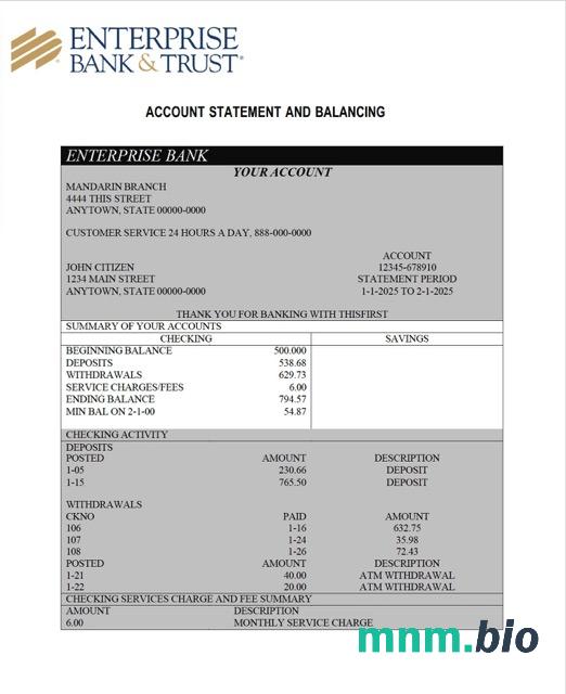 Nigeria Chipper transaction statement szablon Worda i PDF